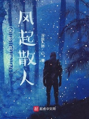 全职高手之散人巅峰