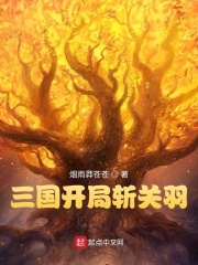 三国开局斩关羽百度网盘