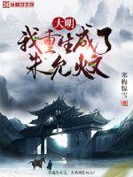 小说大明我重生成了朱允炆