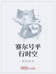 赛尔号平行时空 小说