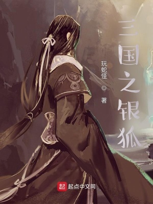 三国之银狐女主