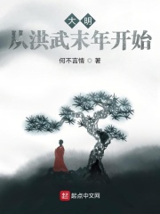 大明:从洪武末年开始齐齐