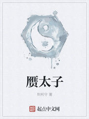 赝太子TXT下载