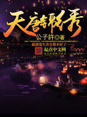 天唐锦绣小说