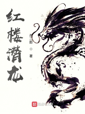 红楼潜龙小说86章
