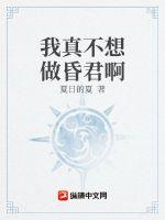我真的不想做皇上叶君