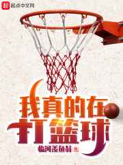 我真的在打篮球下载