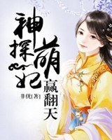 神探萌妃赢翻天百度云