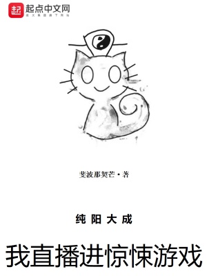 纯阳小说百科