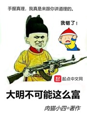 大明不可能这么富 顶点