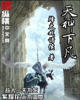 天神下凡[校对版]