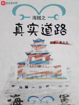 海贼之真实道路顶点小说网