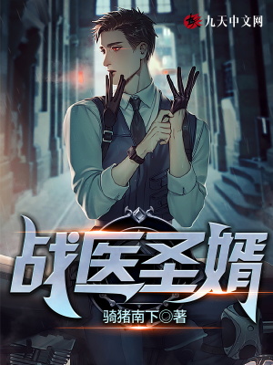 战医圣婿有声小说