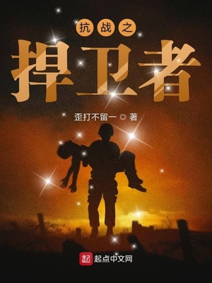 抗战之捍卫者tⅹt