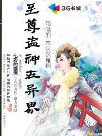 至尊盗神在异界无删减版