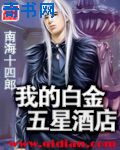 中国白金五星酒店
