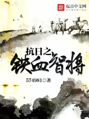 抗日之铁血智将小说全本