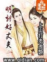 明朝好丈夫小说