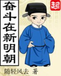 奋斗在新明朝有声小说