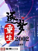 重生逐梦2002 小说