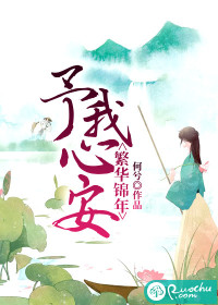 繁华锦年予我心安的隐喻和意义