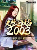 回档2003 小说