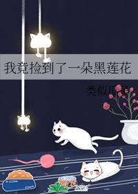 我竟捡到了一朵黑莲花小说