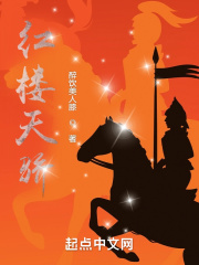 小说红楼天骄