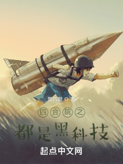 四合院之都是黑科技顶点