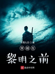 穿越黎明前的抉择小说