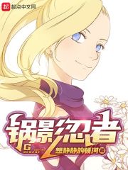 锅影忍者无错版TXT下载