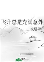 飞升总是充满意外