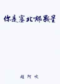 你是塞北哪颗星