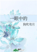 一眼中的