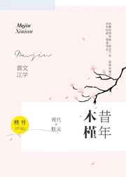 木槿昔年