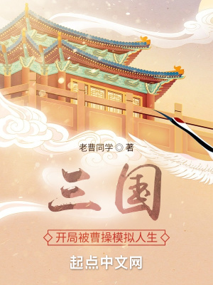 三国:开局被曹操模拟人生类型小说飞卢