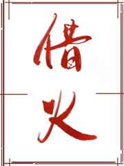 借火小说百度云