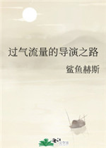过气流量的导演之路