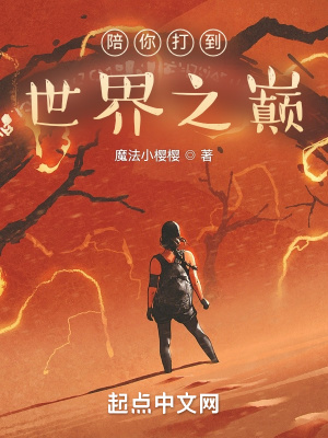 陪你打到世界之巅TXT下载