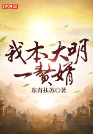 我本大明一赘婿书趣阁