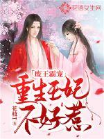 重生王妃不好惹赫连宸