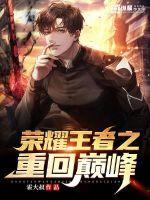 王者荣耀之重回巅峰 小说